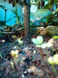 Green royalty free stock images Green royalty free stock images