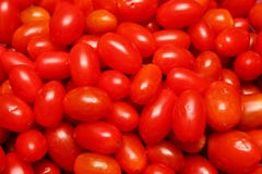 Small Shiny Tomato For Red Background Stock Photos