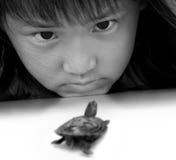 Small turtle and little girl