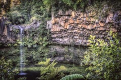 Small waterfall in puyehue national park stock image Small waterfall in puyehue national park stock image