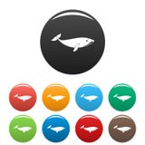 Small whale icons set color royalty free illustration Small whale icons set color royalty free illustration
