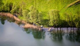 Small boat on the shore of the pond stock photos Small boat on the shore of the pond stock photos