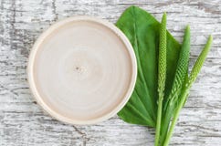 Small wooden plate as place for text, fresh greater plantain psyllium leaves and spikes flowers on white shabby wooden backgroun stock photo Small wooden plate as place for text, fresh greater plantain psyllium leaves and spikes flowers on white shabby wooden backgroun stock photo