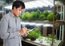 Smart agriculture in futuristic concept, farmer use technology t stock photos Smart agriculture in futuristic concept, farmer use technology t stock photos