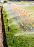 Smart garden luxury park with automatic sprinkler irrigation system royalty free stock photography Smart garden luxury park with automatic sprinkler irrigation system royalty free stock photography