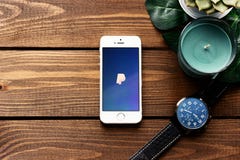 Smartphone di Apple con il pagamento app di PayPay Disposizione piana con il fondo di legno della tavola Pianta succulente, orolo immagini stock Smartphone di Apple con il pagamento app di PayPay Disposizione piana con il fondo di legno della tavola Pianta succulente, orolo immagini stock