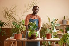 Smiling Black Man Repotting Green Plants Looking at Camera. Waist up Full length portrait of smiling Black man repotting green plants indoors and enjoying