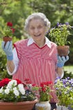 Smiling Senior Woman Holding Flowers Smiling Senior Woman Holding Flowers