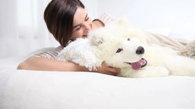 Smiling woman play with pet dog. At home in bed