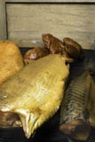 Smoked fish, mackerel, sig, perch and cod roe on the black wooden table. Omega 3 source. Polyunsaturated fats Royalty Free Stock Photography Smoked fish, mackerel, sig, perch and cod roe on the black wooden table. Omega 3 source. Polyunsaturated fats Royalty Free Stock Photography