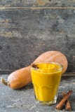 Smoothies тыквы с йогуртом, циннамоном и badan стоковое изображение rf Smoothies тыквы с йогуртом, циннамоном и badan стоковое изображение rf