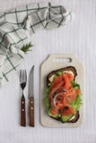 Smorrebrod met zalm, groene groenten, witte kaas op roggebrood royalty-vrije stock afbeelding Smorrebrod met zalm, groene groenten, witte kaas op roggebrood royalty-vrije stock afbeelding