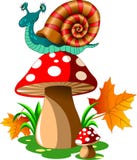 Snail On Mushroom Stock Photo Snail On Mushroom Stock Photo