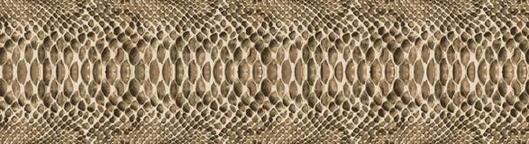 Snake skin pattern texture repeating seamless. Vector. Texture snake. Fashionable print. fashionable and stylish background. royalty free illustration Snake skin pattern texture repeating seamless. Vector. Texture snake. Fashionable print. fashionable and stylish background. royalty free illustration