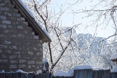Sneeuw behandelde boomtakken boven het sneeuwdak royalty-vrije stock fotografie Sneeuw behandelde boomtakken boven het sneeuwdak royalty-vrije stock fotografie
