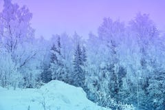 Sneeuw de bomen mooie zonsondergang fantasievol ijzig RT van het de winterlandschap royalty-vrije stock afbeelding Sneeuw de bomen mooie zonsondergang fantasievol ijzig RT van het de winterlandschap royalty-vrije stock afbeelding