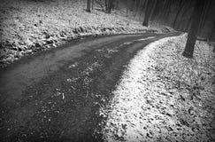 Sneeuw de winterweg stock afbeelding Sneeuw de winterweg stock afbeelding