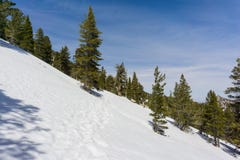 Sneeuwlandschap op de sleep om de piek van San Jacinto, Californië op te zetten royalty-vrije stock afbeeldingen Sneeuwlandschap op de sleep om de piek van San Jacinto, Californië op te zetten royalty-vrije stock afbeeldingen