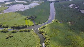 Snelheidsboot op rivier stock footage Snelheidsboot op rivier stock footage