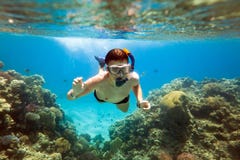 Snorkeler. Mar Rosso fotografia stock libera da diritti Snorkeler. Mar Rosso fotografia stock libera da diritti