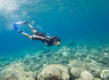 Snorkeling Royalty Free Stock Photos Snorkeling Royalty Free Stock Photos