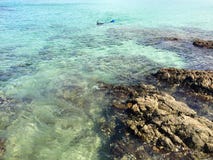 Snorkeller i den Matai fjärden nära Mangonui, norra delen av ett land, Nya Zeeland royaltyfria bilder Snorkeller i den Matai fjärden nära Mangonui, norra delen av ett land, Nya Zeeland royaltyfria bilder