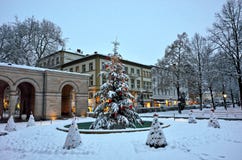 Snow-covered Christmas tree in city park by dusk royalty free stock images Snow-covered Christmas tree in city park by dusk royalty free stock images