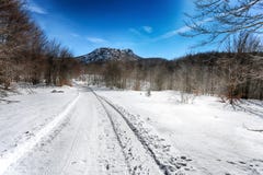 Snow-covered road in forest between mountains, Italy. stock images Snow-covered road in forest between mountains, Italy. stock images