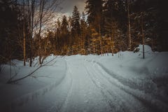 Snow-covered road through the forest stock photography Snow-covered road through the forest stock photography
