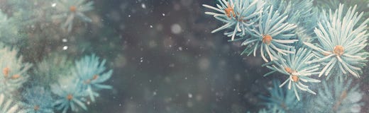 Snow fall in winter forest. Christmas nature magic banner