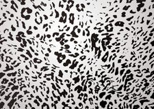 Snow leopard Stock Image Snow leopard Stock Image