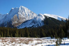 Snow Mountain And Meadow Stock Images