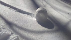 snowball стоковое фото rf snowball стоковое фото rf