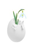 Snowdrop blossoming out of egg isolated on white, as concept of spring. Stock Photos Snowdrop blossoming out of egg isolated on white, as concept of spring. Stock Photos
