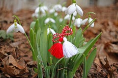 Snowdrop spring flowers with martenitsa. Baba Marta day royalty free stock photography Snowdrop spring flowers with martenitsa. Baba Marta day royalty free stock photography