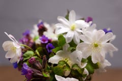 Snowdrops в вазе на старой деревянной группе травяной стоковое фото rf Snowdrops в вазе на старой деревянной группе травяной стоковое фото rf