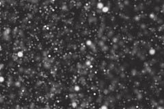 Snowfall isolated on black background stock images Snowfall isolated on black background stock images