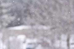 snowfall Natura stagionale del bello fondo di inverno ed il tempo nell'inverno Paesaggio di inverno con neve di caduta Immagine Stock snowfall Natura stagionale del bello fondo di inverno ed il tempo nell'inverno Paesaggio di inverno con neve di caduta Immagine Stock