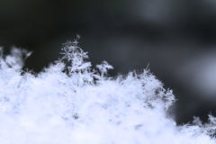 Snowflake in blue snow royalty free stock photography Snowflake in blue snow royalty free stock photography