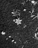 snowflake imagens de stock royalty free snowflake imagens de stock royalty free