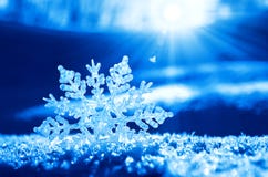 snowflakes-snow-28194297.jpg