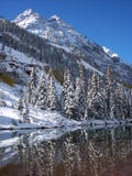 snowvildmark Arkivfoto
