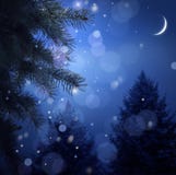 Snowy forest on Christmas night