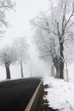 Snowy Road Royalty Free Stock Images