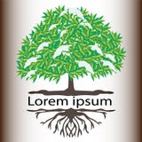 The logo of the life tree of a snowy white background royalty free illustration The logo of the life tree of a snowy white background royalty free illustration