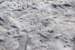 Snöa dold jordning med olika moment och spår arkivbild Snöa dold jordning med olika moment och spår arkivbild