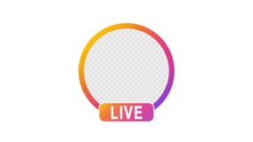 Social media avatar. Live profile circle. Live video streaming, colorful gradient. 4k video