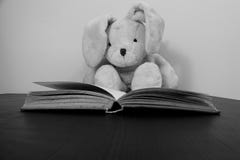 Black and white photo of a rabbit plush toy sitting behind an open book. royalty free stock image Black and white photo of a rabbit plush toy sitting behind an open book. royalty free stock image