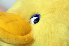 Toy Fluffy Duck Stock Photos, Images, & Pictures - 223 Images
