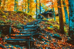 Soft view autumn landscape, autumnal park, fall nature. vector illustration Soft view autumn landscape, autumnal park, fall nature. vector illustration